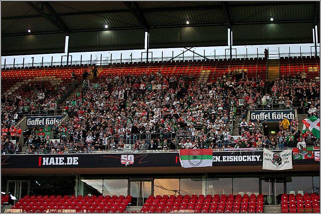 PENNY DEL; Koelner Haie- Augsburger Panther; Koeln, 08.01.2023